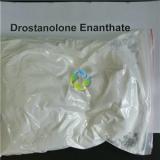 Cutting Cycle Masteron Enanthate